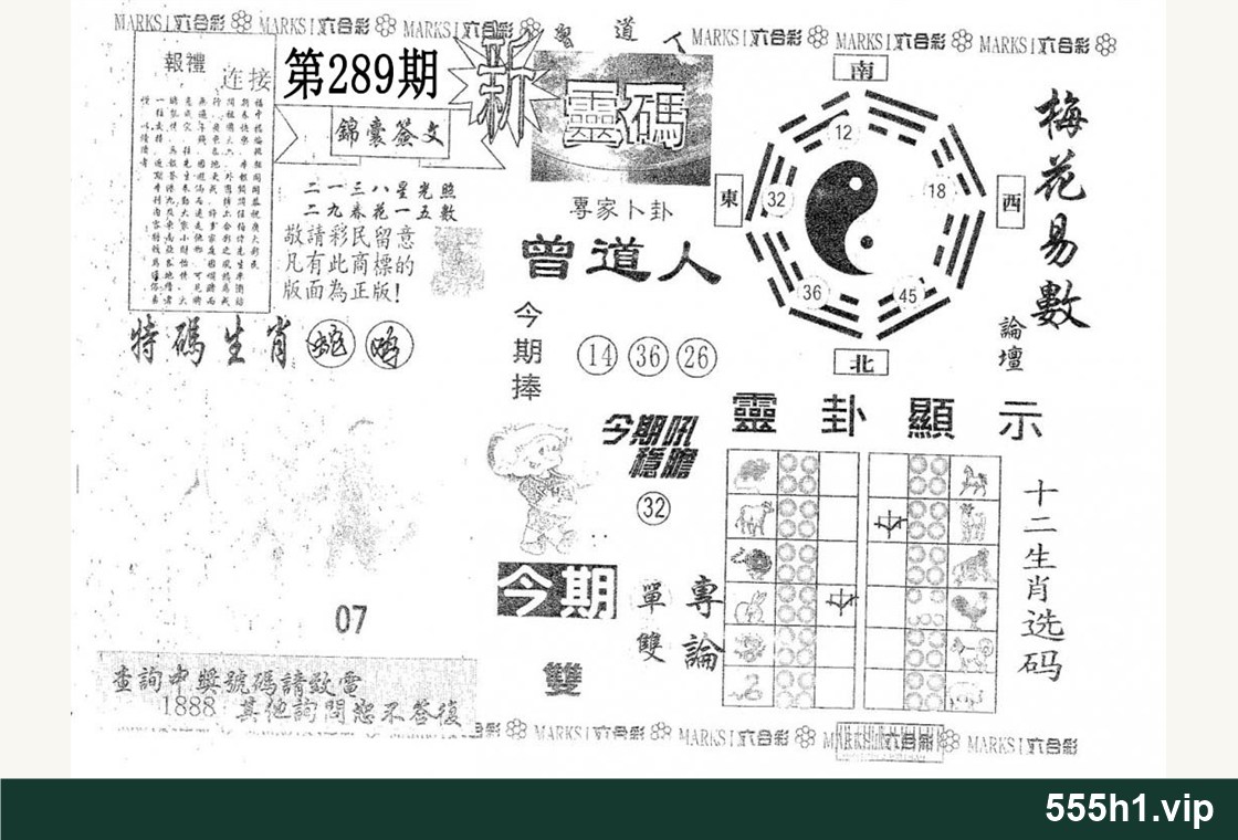 黑白图纸 · 新灵码，标注555h1.vip