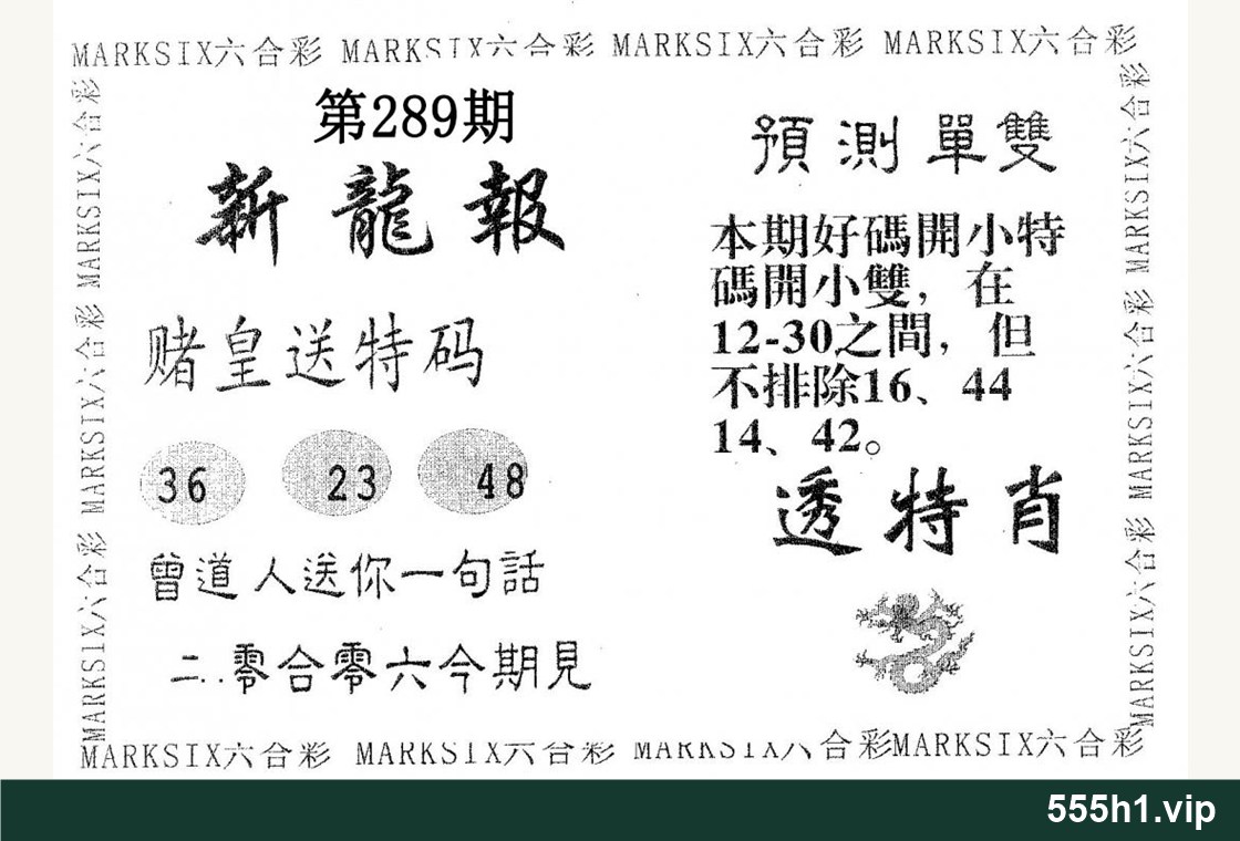 黑白图纸 · 新龙报，标注555h1.vip