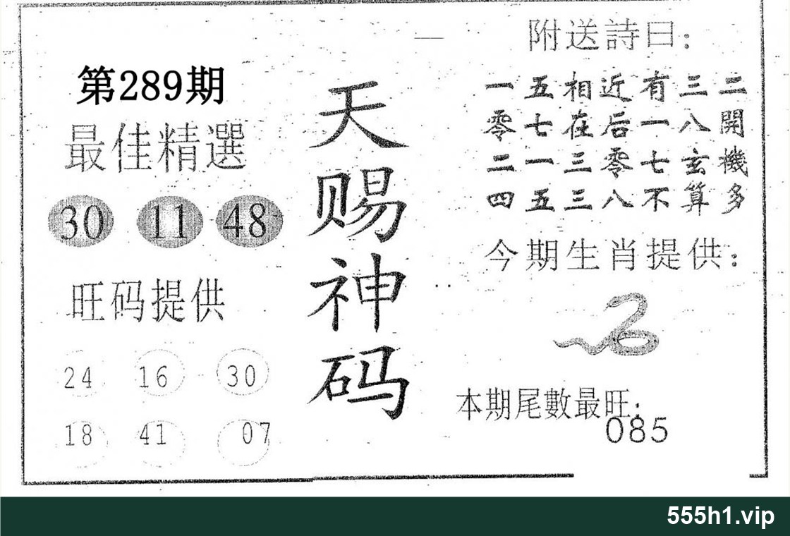 黑白图纸 · 天赐神码，标注555h1.vip