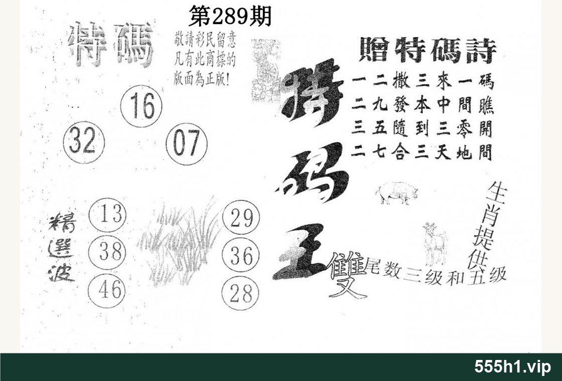 黑白图纸 · 特码王，标注555h1.vip