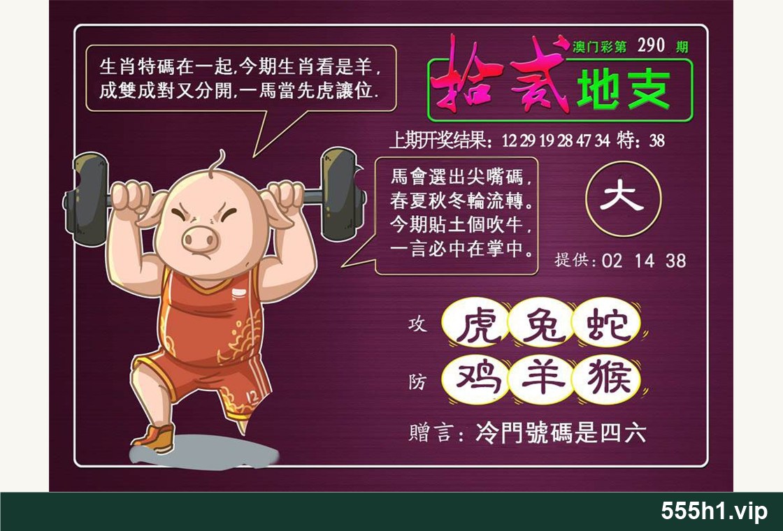 彩色图纸 · 十二地支，标注555h1.vip