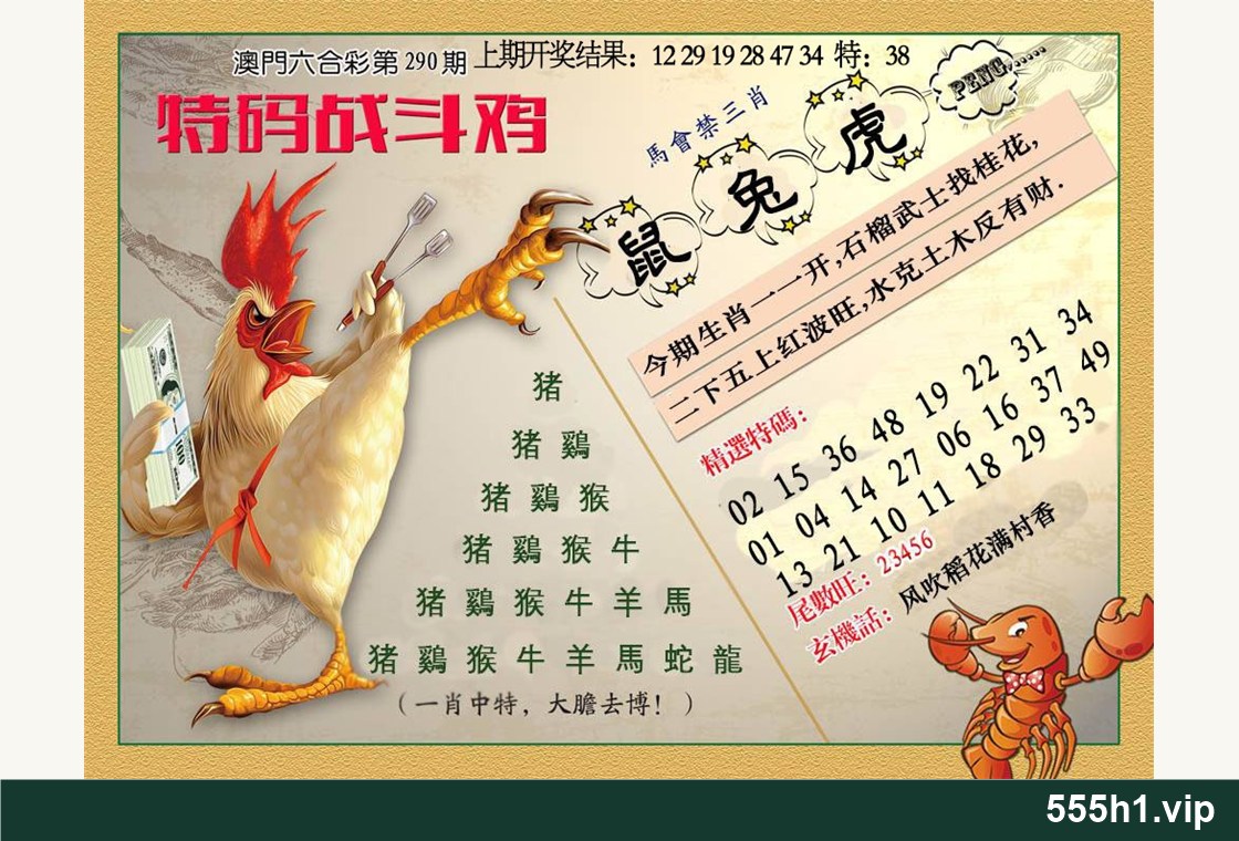 彩色图纸 · 特码战斗机，标注555h1.vip