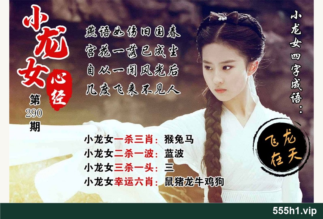 彩色图纸 · 小龙女心经配图，标注 555h1.vip